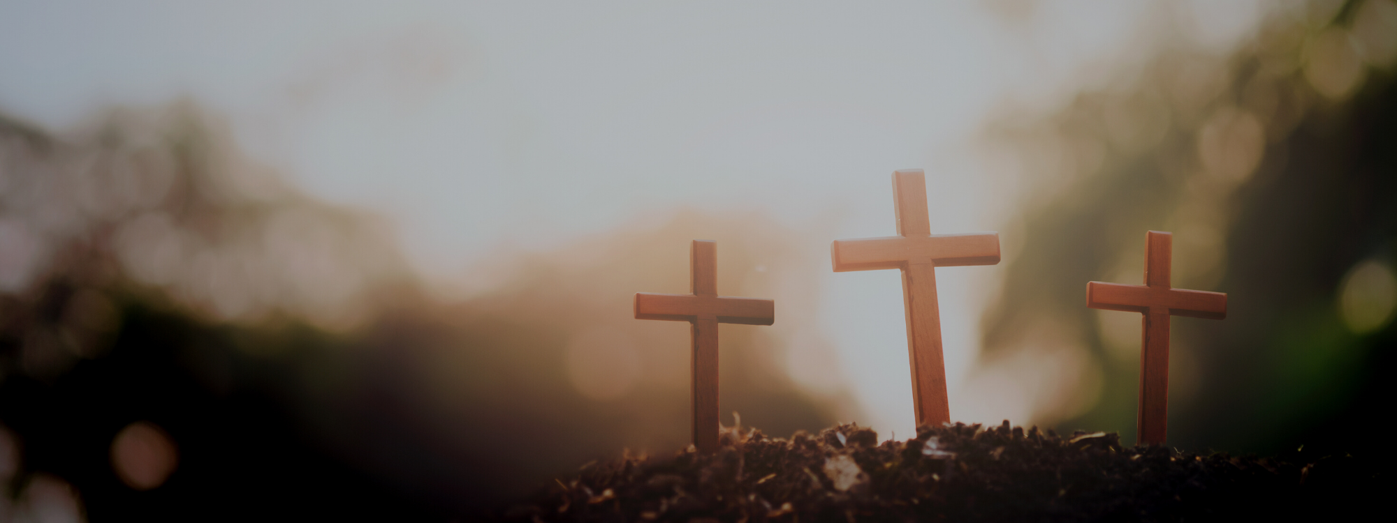 LENT & EASTER 2025*A journey towards Easter*MORE INFO