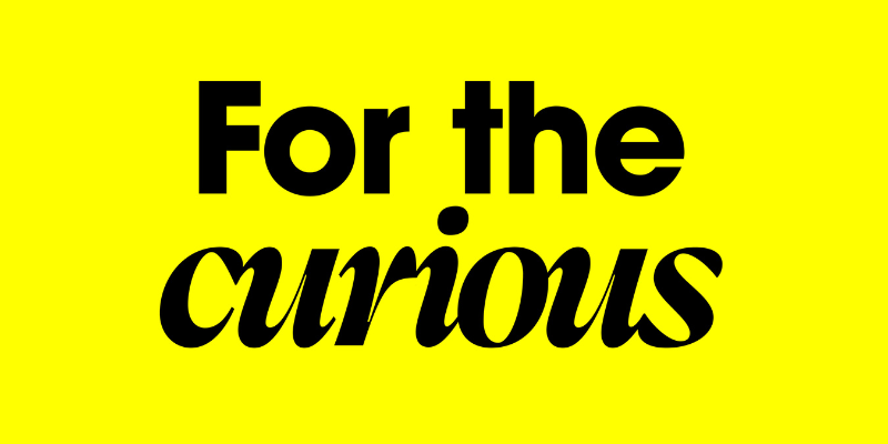 Curious Feature Image